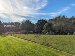 View from lodge