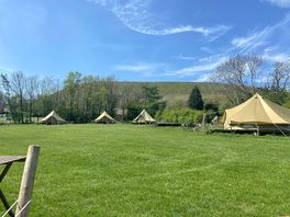 View from the bell tents.