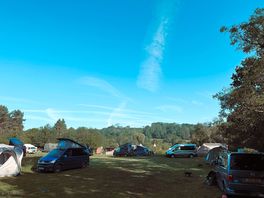 Morning at the tent