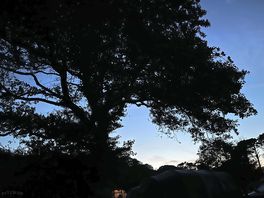 Night sky