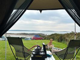 Morning view