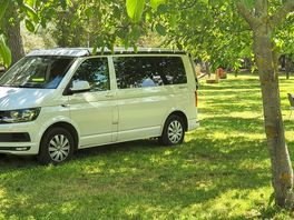 Pitches for campers and tourers