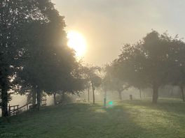 Early dog walk