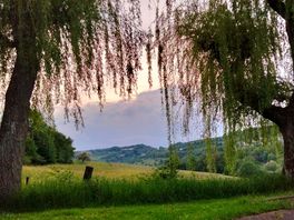 Uitzicht vanaf de camping