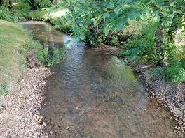 Stream running through the site.