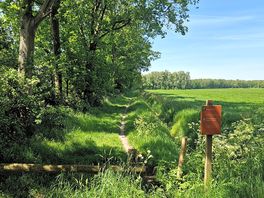 Wandelpaden in weststellingwerf