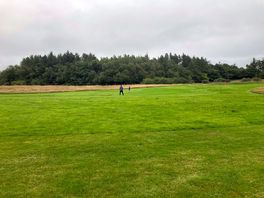 Field