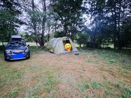 The spacious pitch of 3b