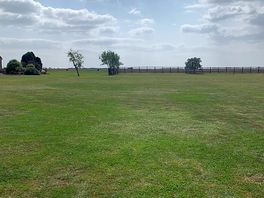 Plenty of green land