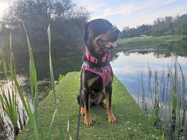 Walk around the lake