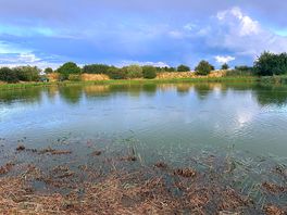 Well stocked lake