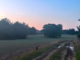 Walks