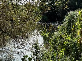 River walk