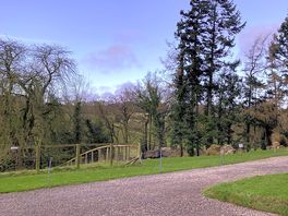 Immaculate grounds
