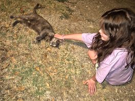 Furry visitor