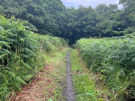 Cinder track