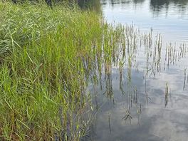 A walk round the lake