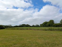 View across the field