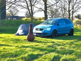 Shortstay non electric with a log pack upgrade