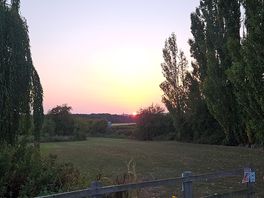 Dog walking area