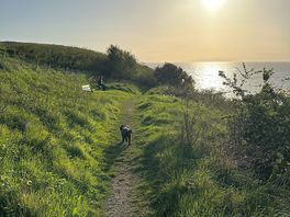 Walk to the beach