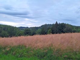Aussicht vom stellplatz