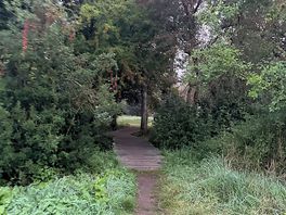 The path to glamping area