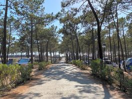 Camp site