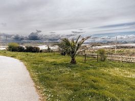 Sea view pitches
