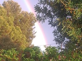 Auch nach regn kommt sonnenschen