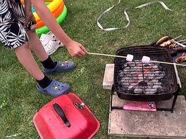Toasted marshmallows for the kids