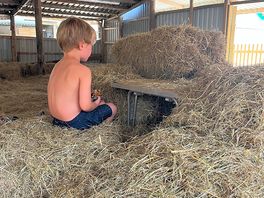 Play barn