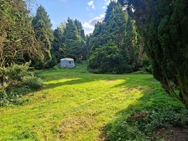 Grounds