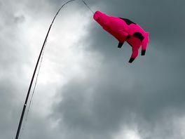 A flying pig making the most of the strong wind