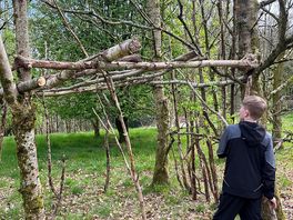 Den building