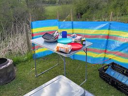 Daffyd pitch
