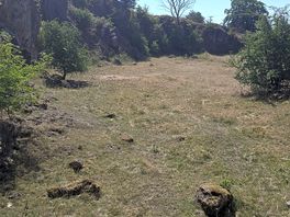 Little spot found on the walk