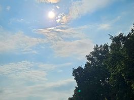 Last bit of sunshine of 2024!