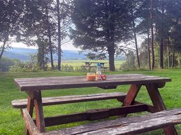 Views from the hut