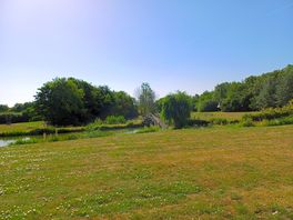 A lovely stroll around the fishing lake.