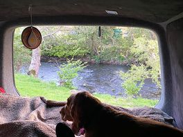 A room with a view