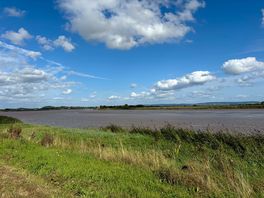 View of the river