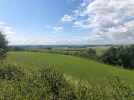 From our walk on the viking way
