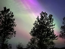 Treated to northern lights!