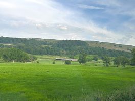 Views from the area around the campsite