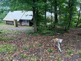 Arriving to the cabin