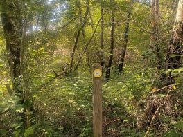 Continuing the ant trail and finding myself back at the campsite. perfect