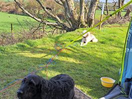 Chilling at the tent
