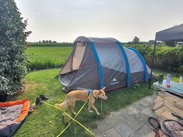 Pitch 14 and our set-up. you can see the hardstanding element of the pitch.