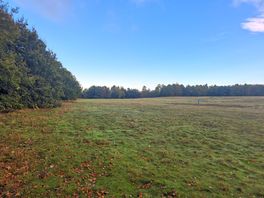 Wild camping area 7